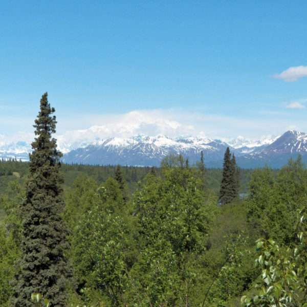 Mt. McKinley, Denali National Park and Preserve, Alaska - 8 x 10