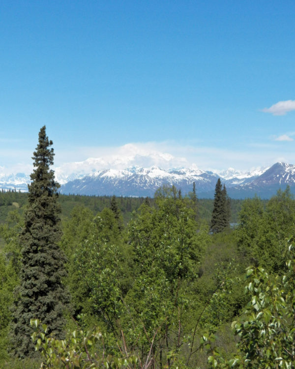 Mt. McKinley, Denali National Park and Preserve, Alaska - 8 x 10